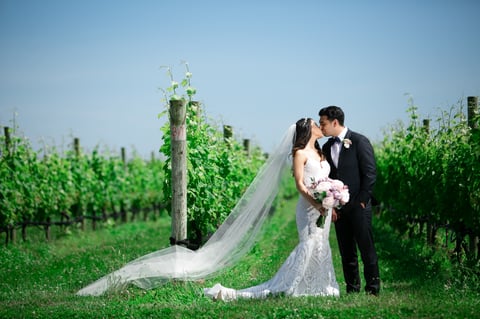 Raphaels Vineyard Wedding Photos-19